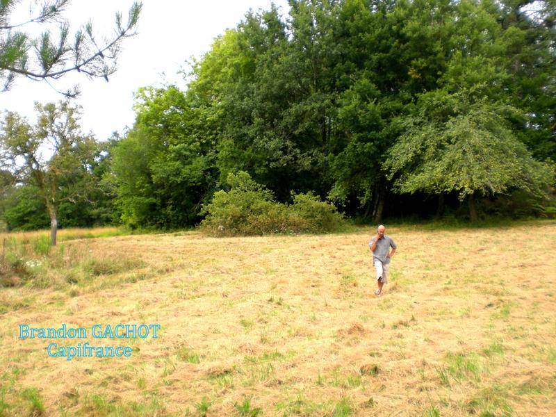 Terrain seul à Campsegret en Dordogne (24) de 8275 m² à vendre au prix de 66900€ - 2
