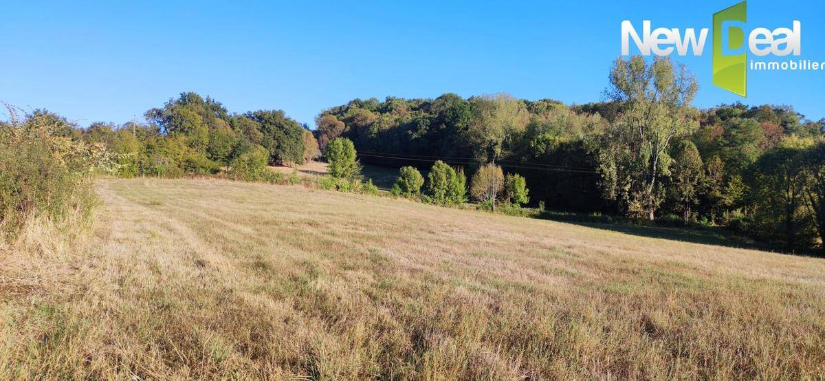 Terrain seul à Ussac en Corrèze (19) de 2800 m² à vendre au prix de 60000€ - 1