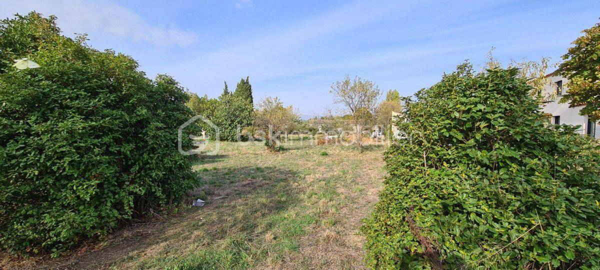 Terrain seul à Azille en Aude (11) de 2310 m² à vendre au prix de 168000€ - 3