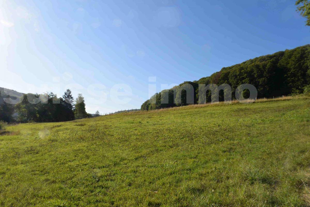 Terrain seul à Sancey en Doubs (25) de 1105 m² à vendre au prix de 47000€ - 3