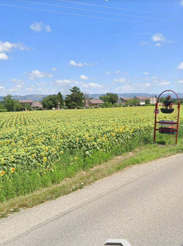 Terrain seul à Viriville en Isère (38) de 378 m² à vendre au prix de 68040€ - 3