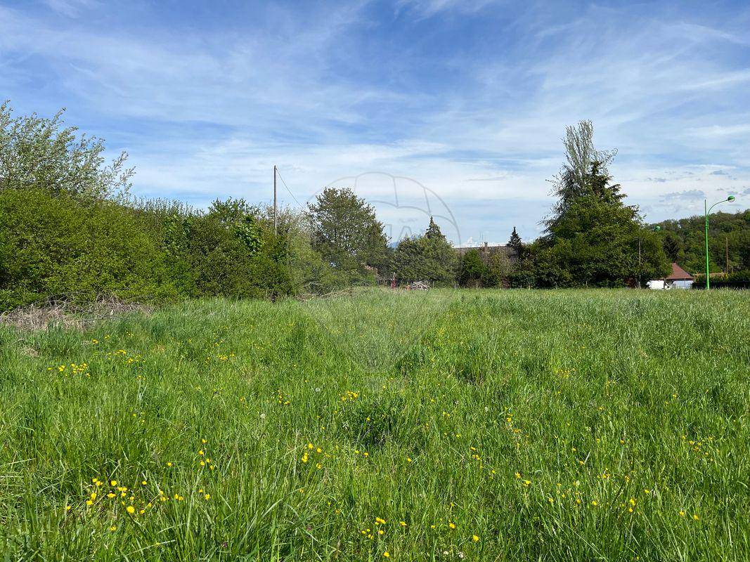 Terrain seul à Monnetier-Mornex en Haute-Savoie (74) de 2000 m² à vendre au prix de 599000€ - 1