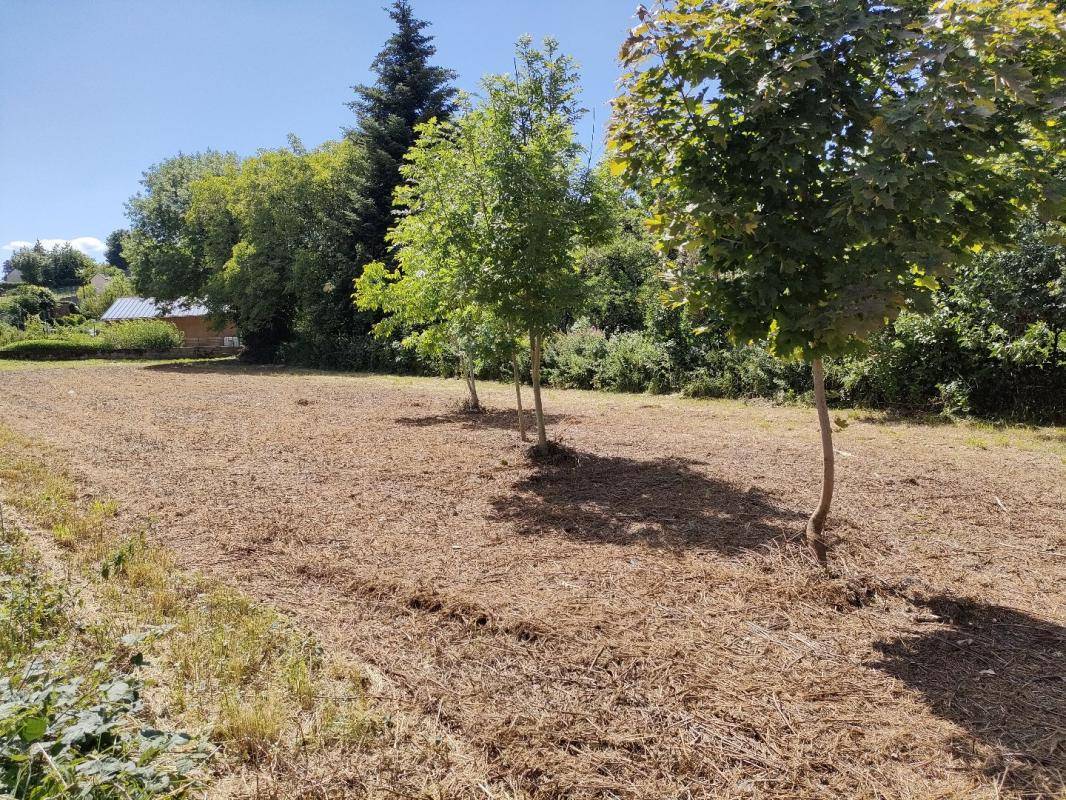 Terrain seul à Montsalvy en Cantal (15) de 1110 m² à vendre au prix de 28000€ - 3