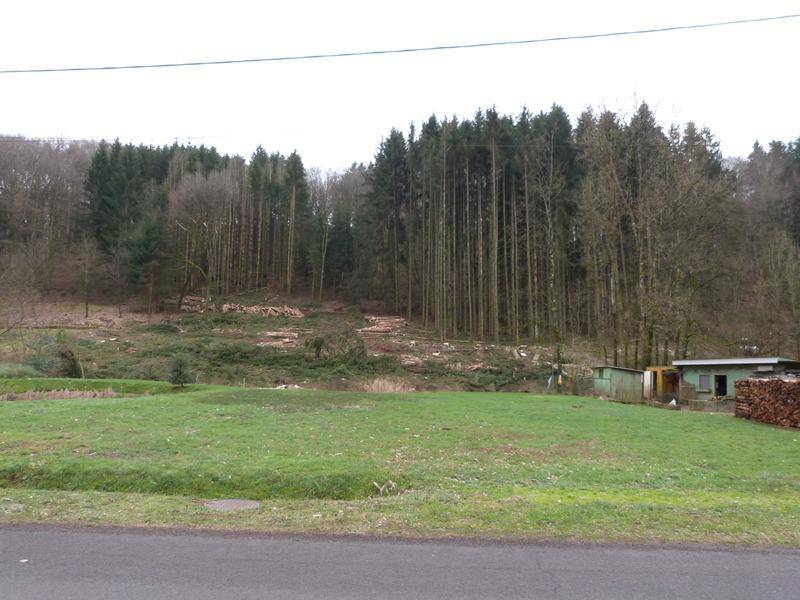Terrain seul à Hottviller en Moselle (57) de 803 m² à vendre au prix de 35000€ - 2