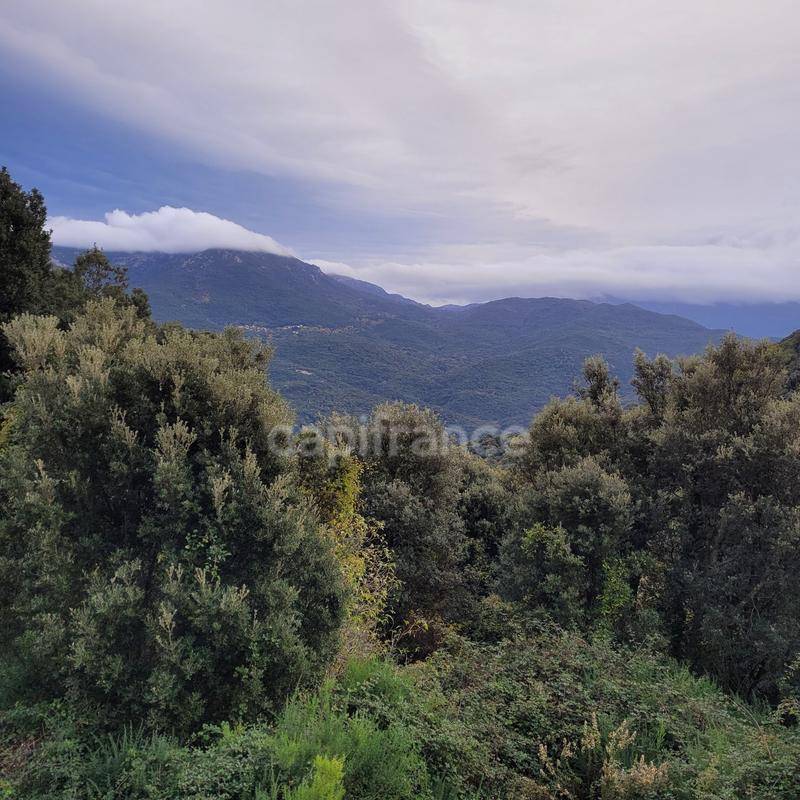 Terrain seul à Levie en Corse-du-Sud (2A) de 5784 m² à vendre au prix de 270000€ - 4