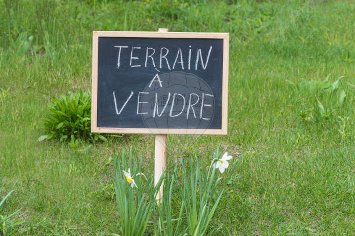 Terrain seul à Les Mathes en Charente-Maritime (17) de 819 m² à vendre au prix de 190000€ - 3