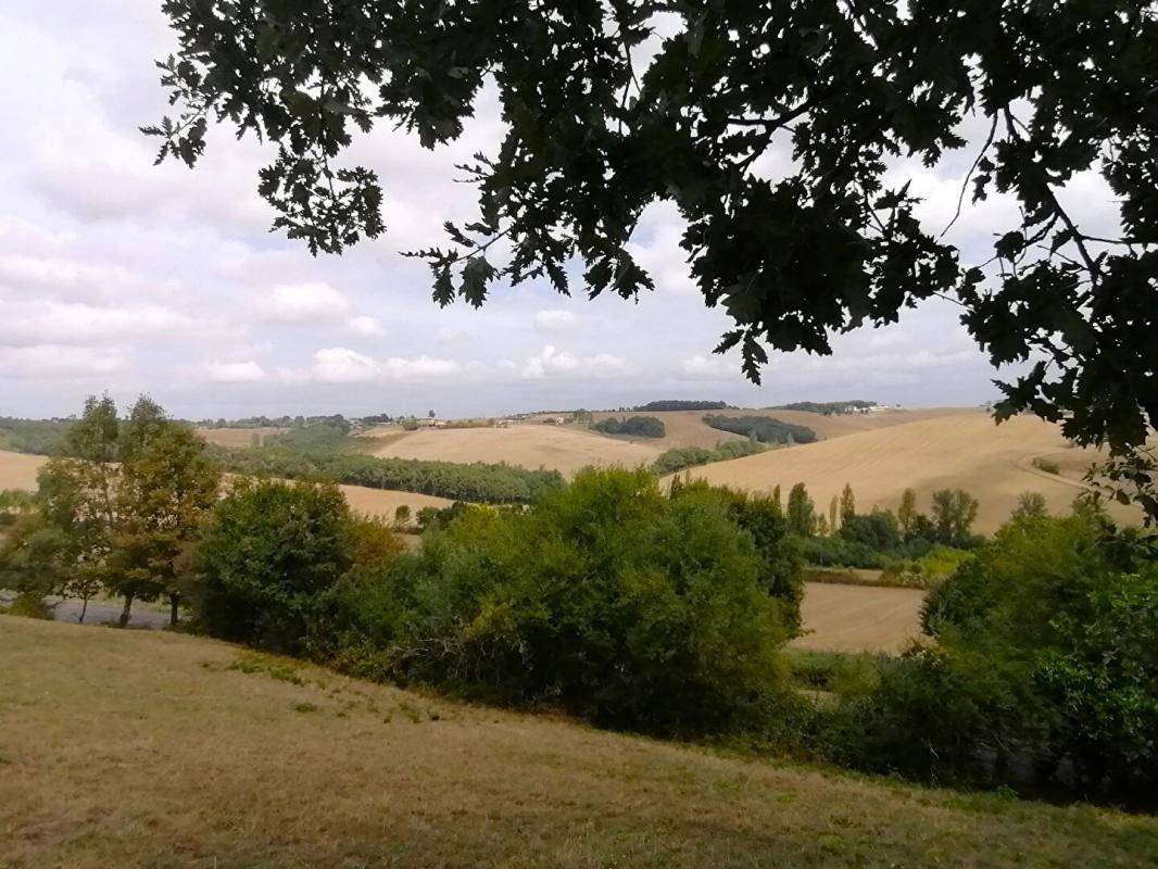 Terrain seul à Montégut-Bourjac en Haute-Garonne (31) de 2500 m² à vendre au prix de 42000€ - 3