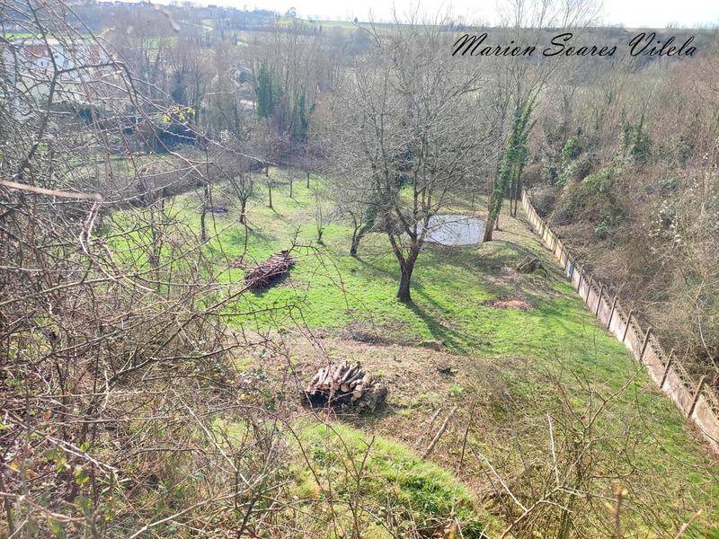 Terrain seul à Provins en Seine-et-Marne (77) de 2976 m² à vendre au prix de 185000€ - 4