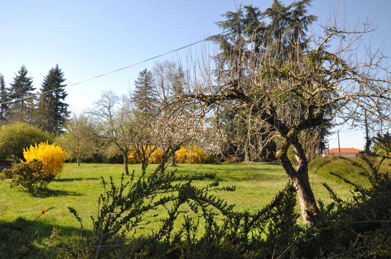 Terrain seul à Beaufort en Isère (38) de 1000 m² à vendre au prix de 74500€ - 3