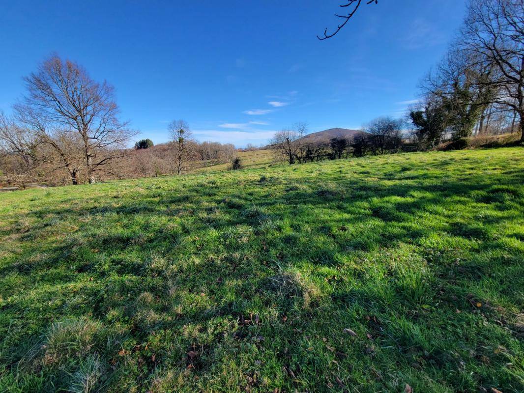 Terrain seul à Alzen en Ariège (09) de 1030 m² à vendre au prix de 40000€ - 1