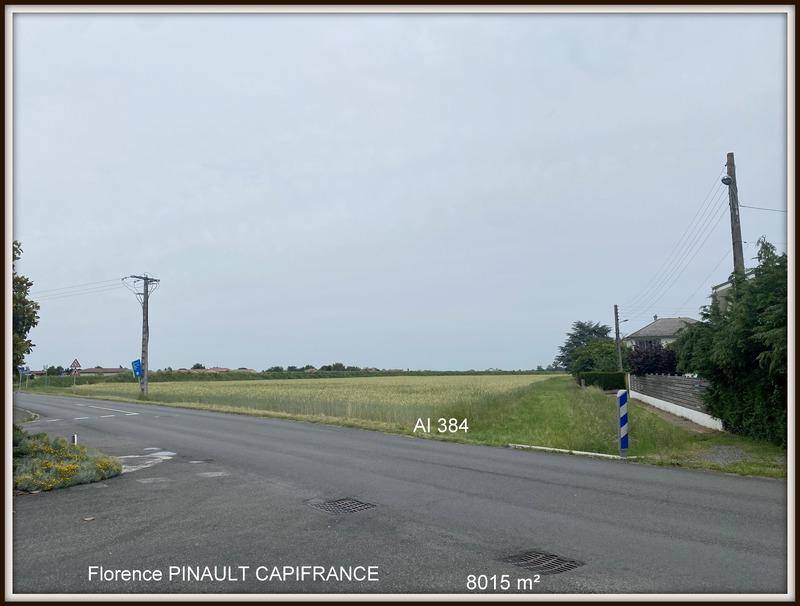 Terrain seul à Barbazan-Debat en Hautes-Pyrénées (65) de 8015 m² à vendre au prix de 258450€ - 1