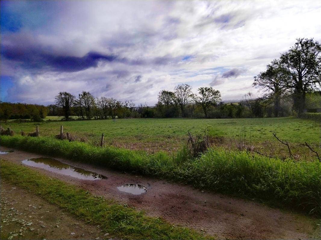 Terrain seul à Chassenon en Charente (16) de 2500 m² à vendre au prix de 24000€ - 4
