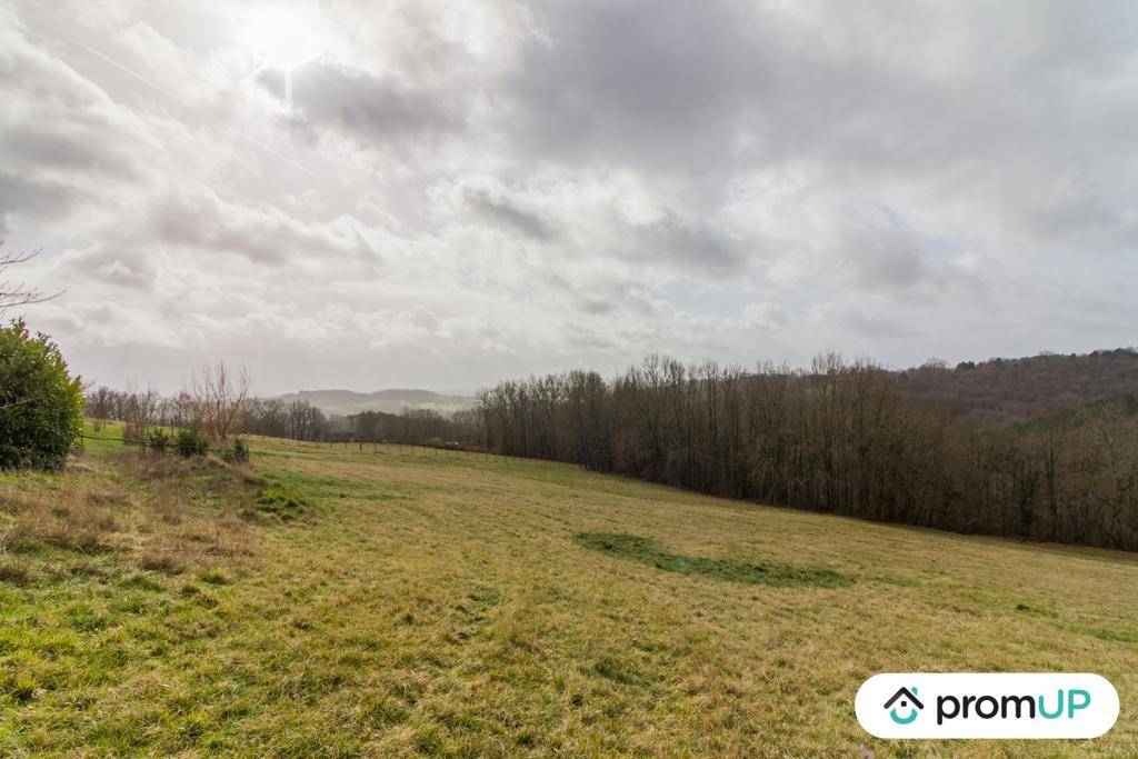 Terrain seul à Peyzac-le-Moustier en Dordogne (24) de 3000 m² à vendre au prix de 63000€ - 3