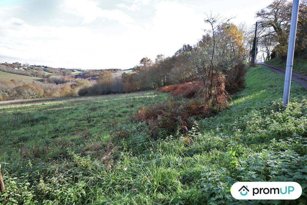 Terrain seul à Casteide-Cami en Pyrénées-Atlantiques (64) de 1633 m² à vendre au prix de 35000€ - 4