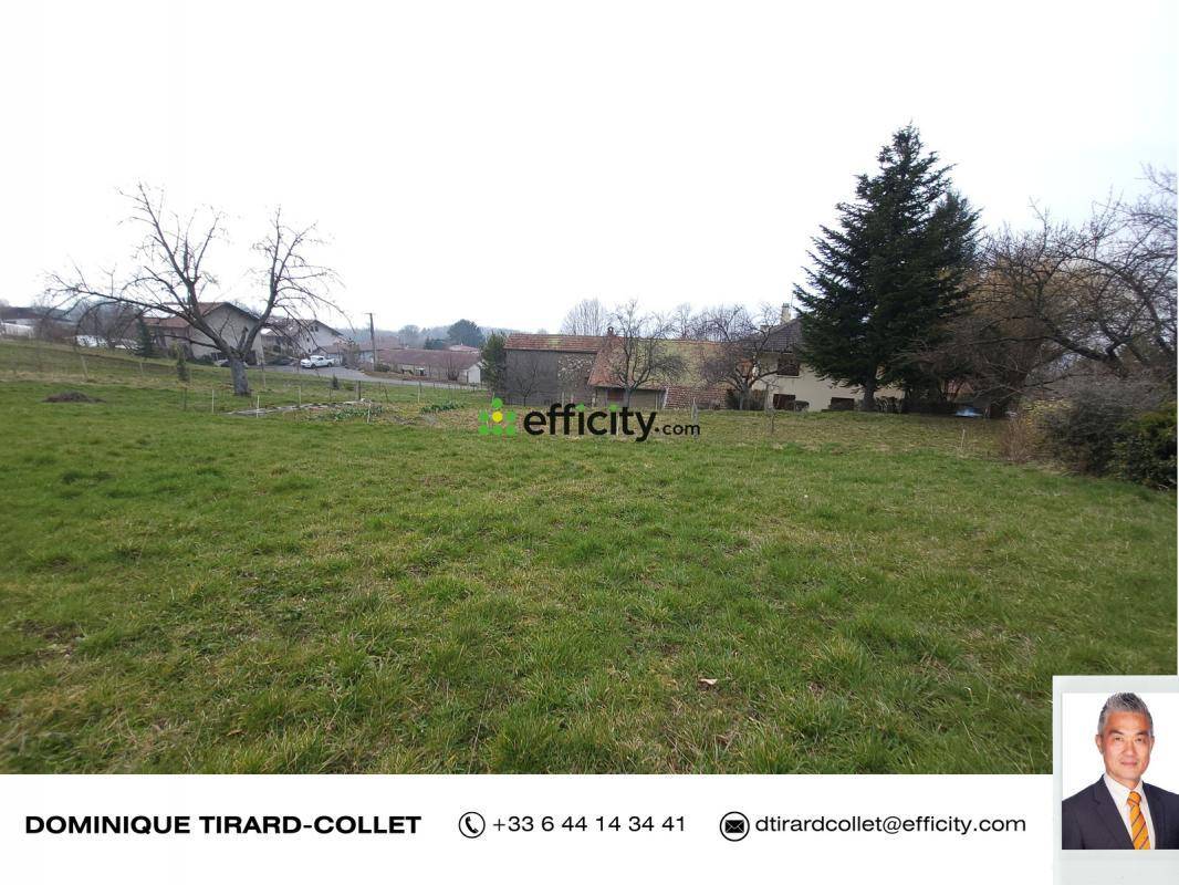 Terrain seul à Archamps en Haute-Savoie (74) de 1200 m² à vendre au prix de 650000€ - 4