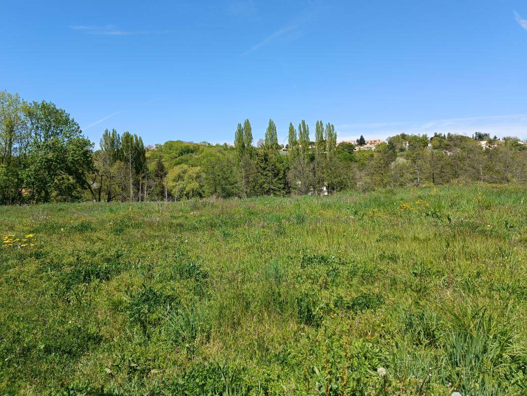 Terrain seul à Ruelle-sur-Touvre en Charente (16) de 2405 m² à vendre au prix de 284500€ - 2