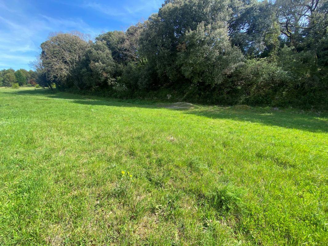 Terrain seul à Montolieu en Aude (11) de 1000 m² à vendre au prix de 55000€