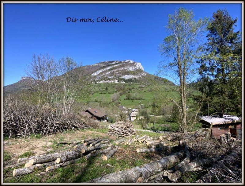 Terrain seul à La Thuile en Savoie (73) de 667 m² à vendre au prix de 79000€ - 1