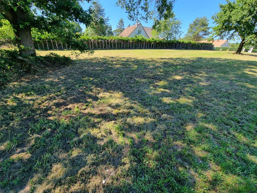 Terrain seul à Les Bordes en Loiret (45) de 7333 m² à vendre au prix de 95990€ - 1