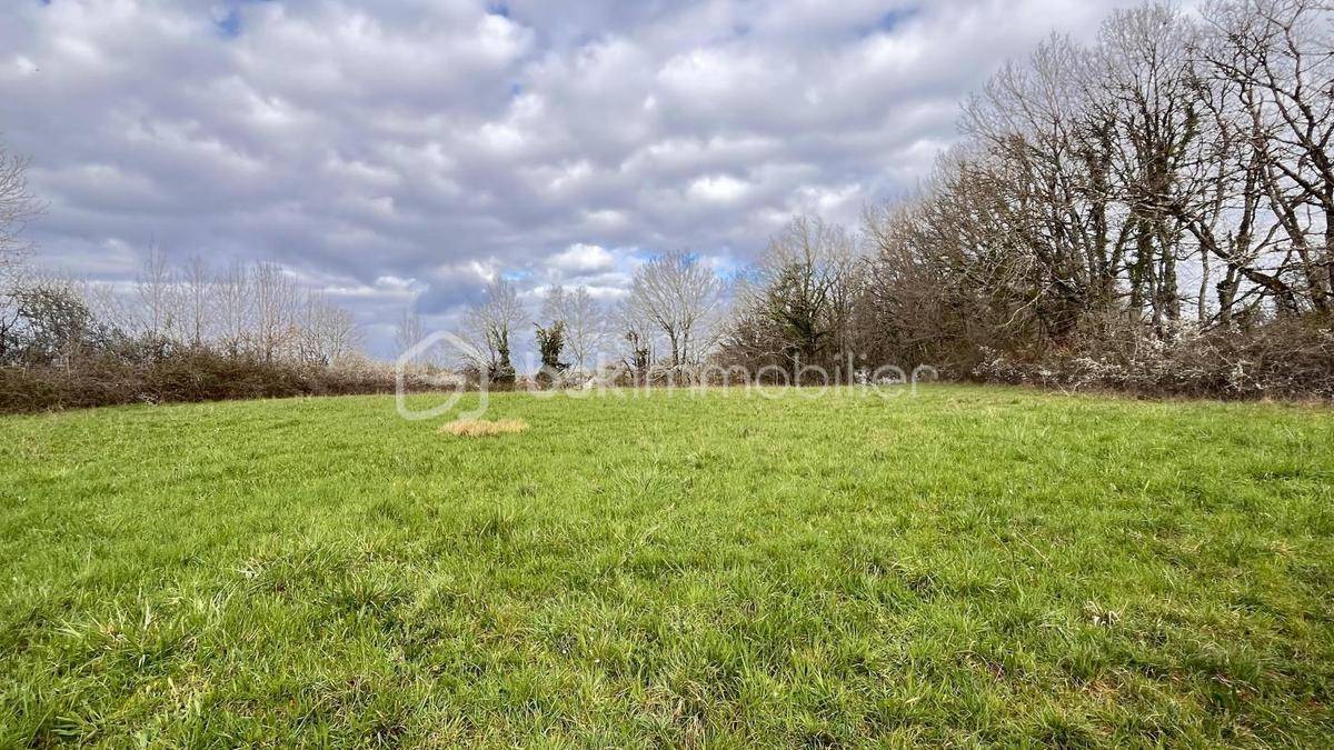 Terrain seul à Hautefort en Dordogne (24) de 4618 m² à vendre au prix de 51000€ - 1