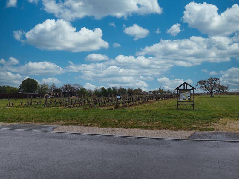 Terrain seul à Bonneville-et-Saint-Avit-de-Fumadières en Dordogne (24) de 2423 m² à vendre au prix de 36000€ - 2