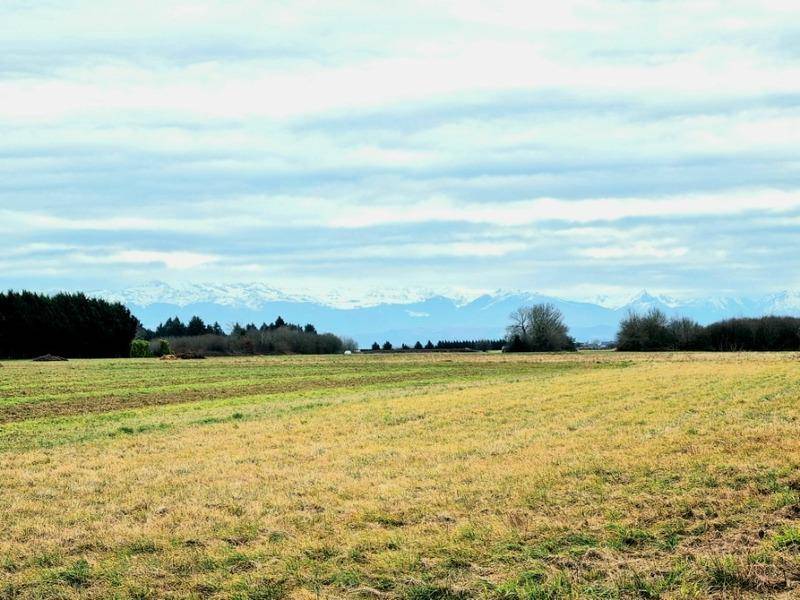 Terrain seul à Bordères-sur-l'Échez en Hautes-Pyrénées (65) de 4150 m² à vendre au prix de 198000€ - 3