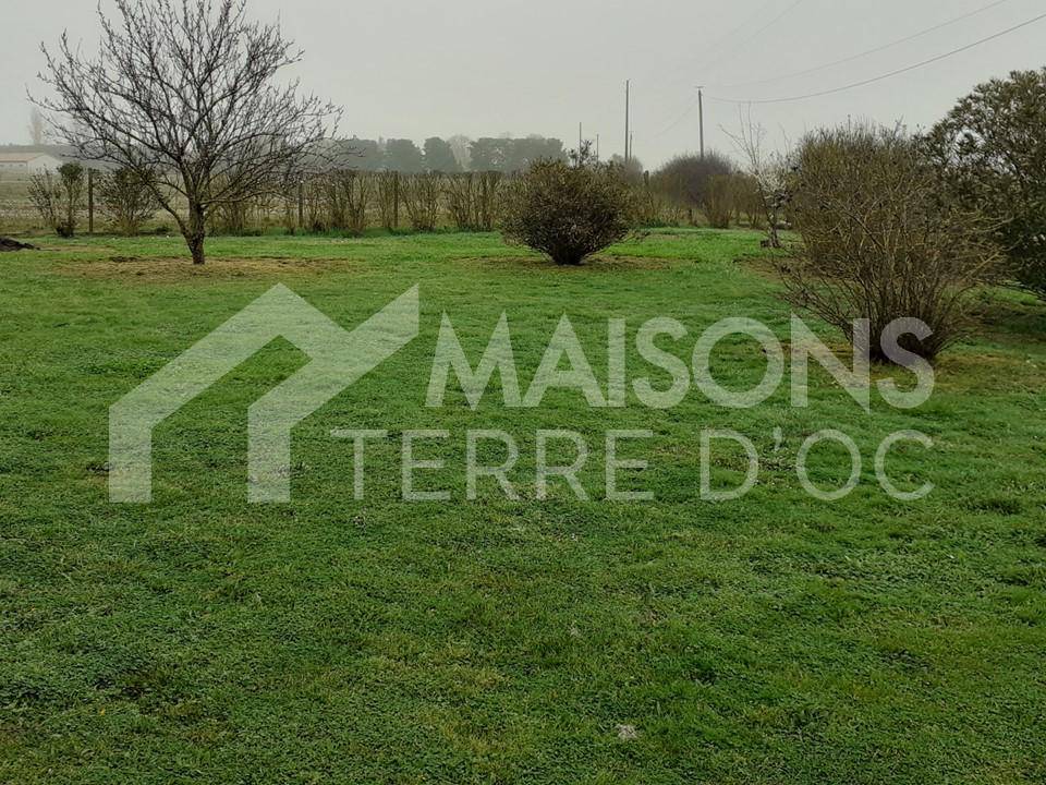 Terrain seul à Fronton en Haute-Garonne (31) de 1338 m² à vendre au prix de 119000€ - 1
