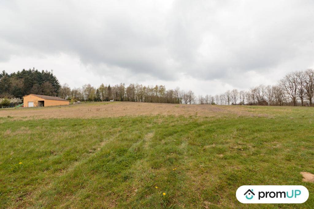 Terrain seul à Confolens en Charente (16) de 11500 m² à vendre au prix de 23990€ - 2