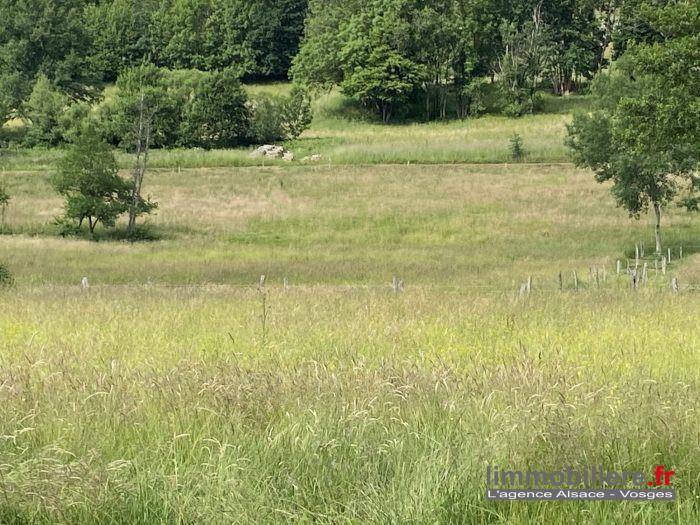 Terrain seul à Mandray en Vosges (88) de 10680 m² à vendre au prix de 50000€ - 2