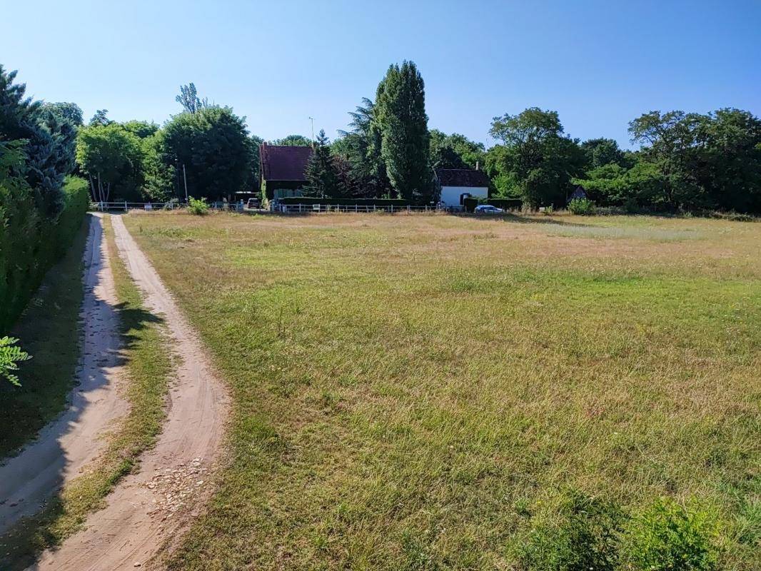 Terrain seul à Buzançais en Indre (36) de 1272 m² à vendre au prix de 16220€ - 2