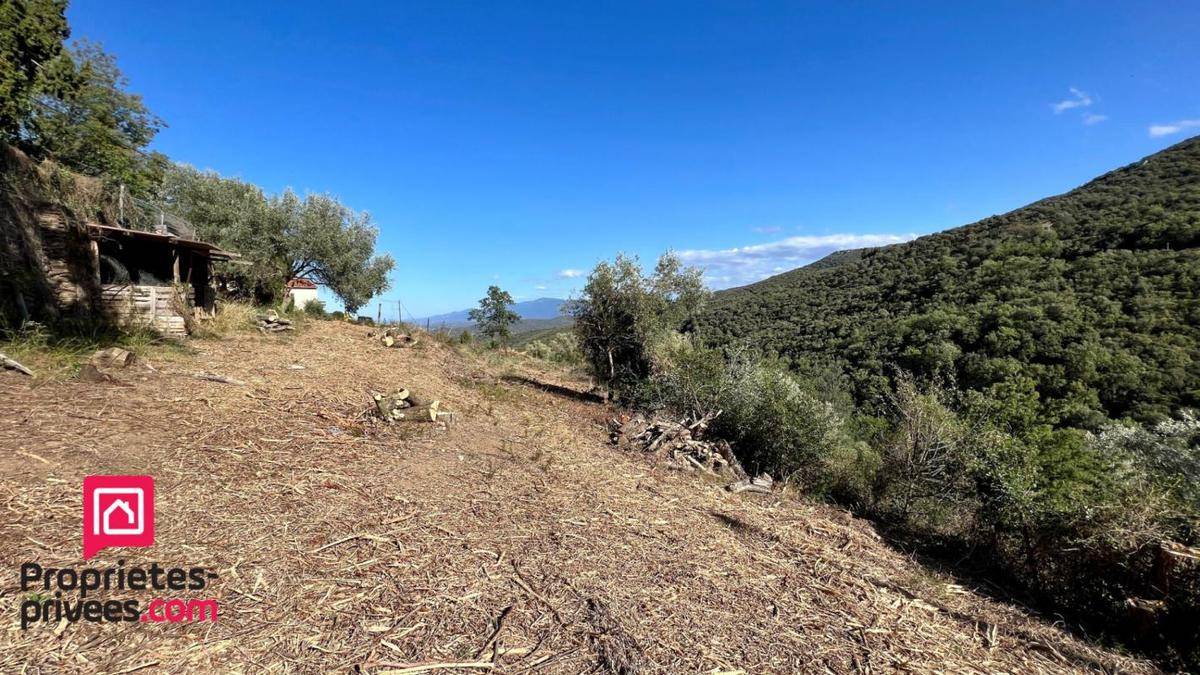 Terrain seul à Caixas en Pyrénées-Orientales (66) de 6800 m² à vendre au prix de 110000€ - 2