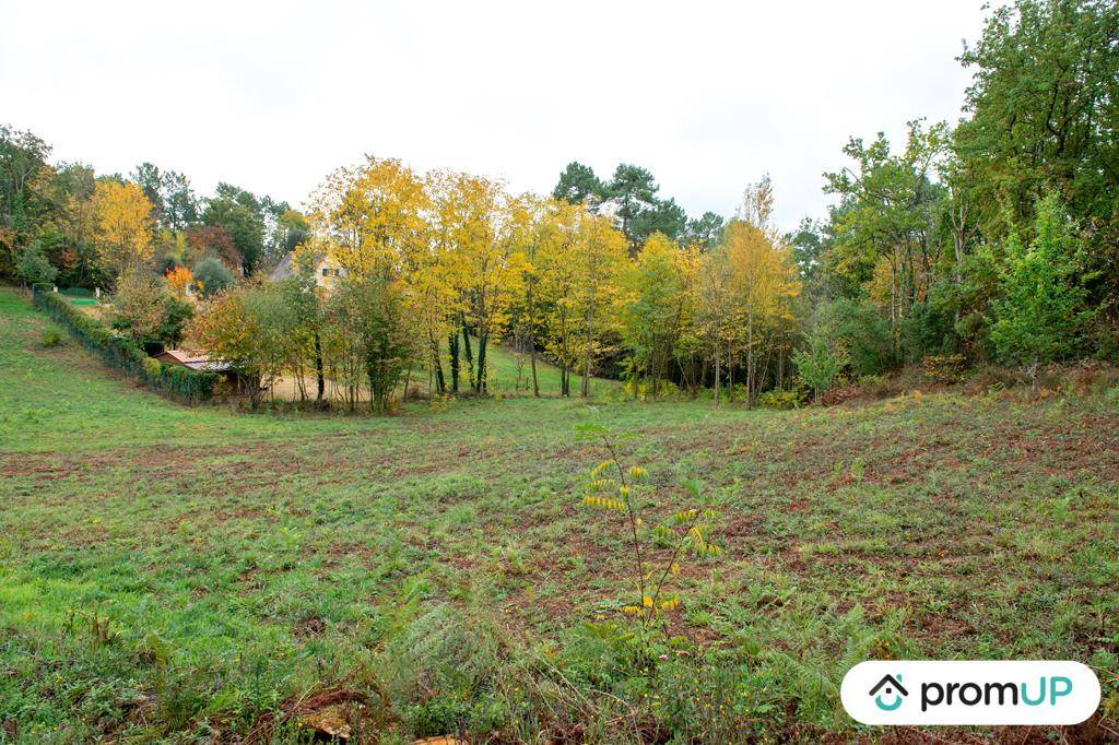 Terrain seul à Sarlat-la-Canéda en Dordogne (24) de 3310 m² à vendre au prix de 45000€ - 4