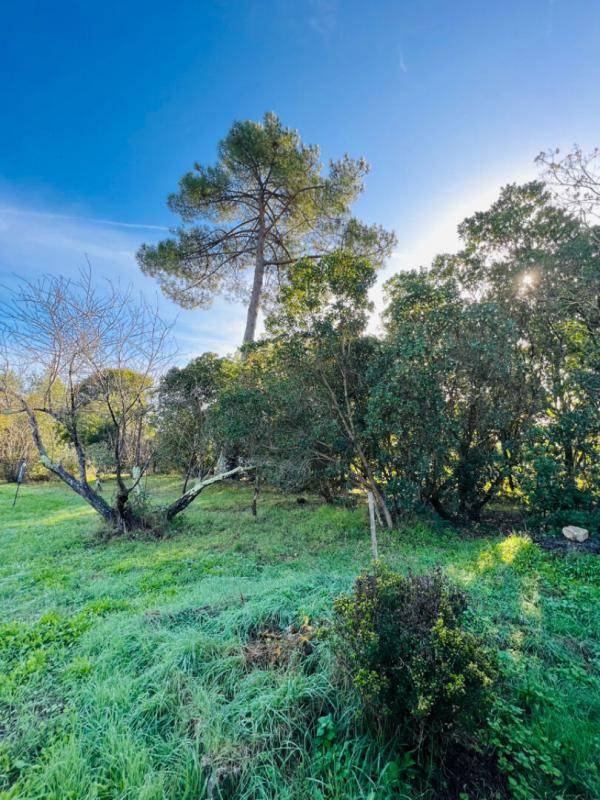 Terrain seul à La Teste-de-Buch en Gironde (33) de 1000 m² à vendre au prix de 295000€