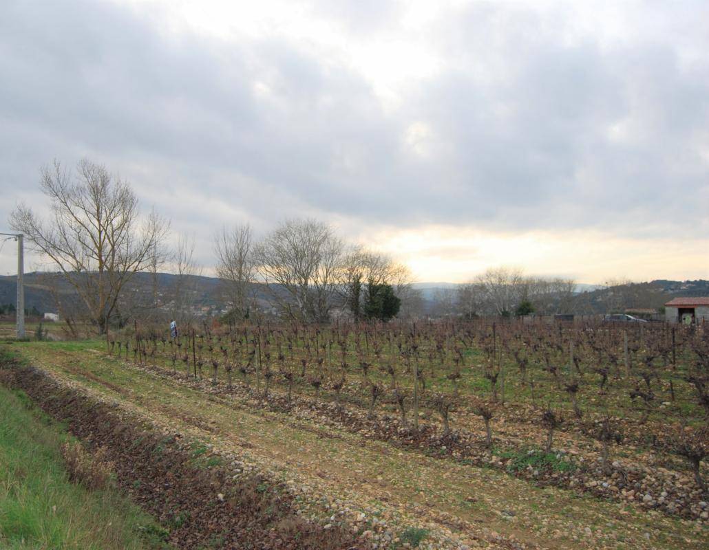 Terrain seul à Limoux en Aude (11) de 2500 m² à vendre au prix de 65000€
