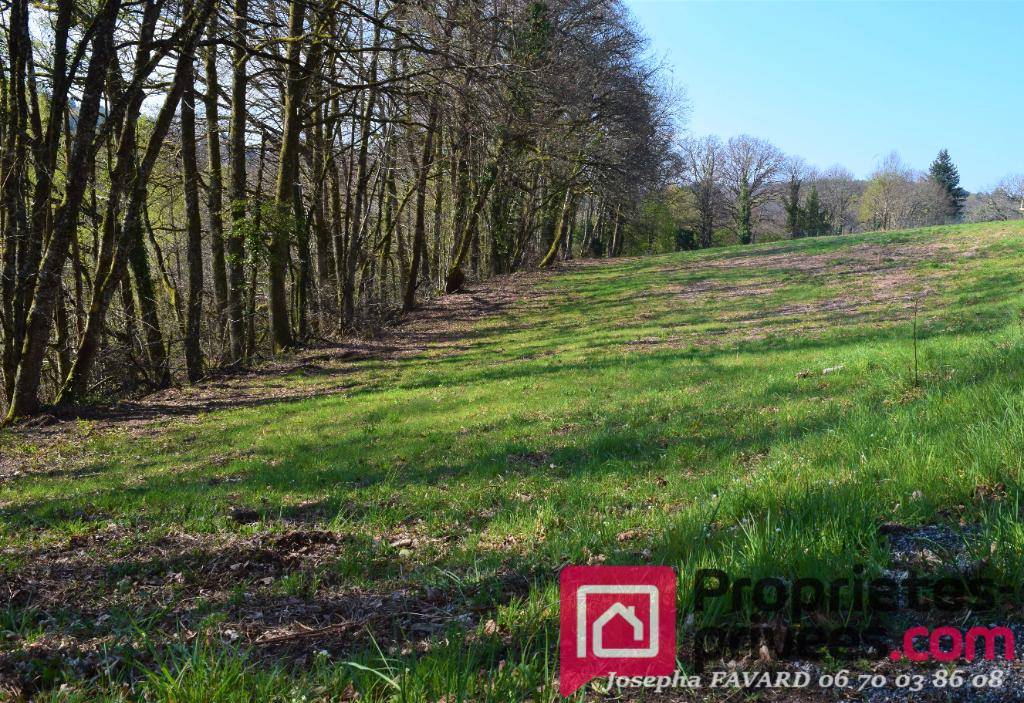 Terrain seul à Treignac en Corrèze (19) de 3657 m² à vendre au prix de 19000€ - 4