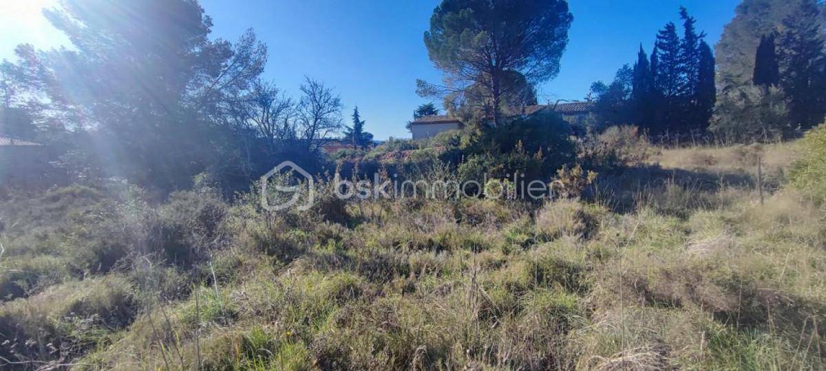 Terrain seul à Cournonterral en Hérault (34) de 326 m² à vendre au prix de 225000€ - 1
