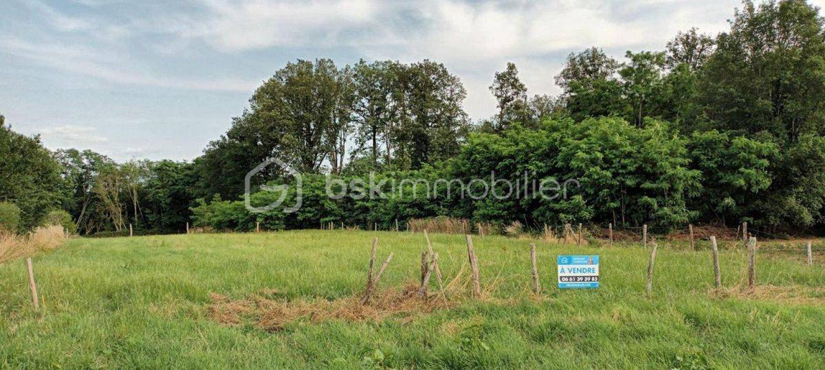 Terrain seul à Villeneuve-sur-Yonne en Yonne (89) de 1501 m² à vendre au prix de 30000€ - 4