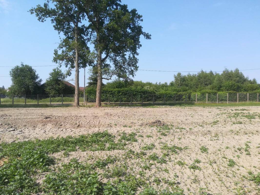 Terrain seul à Argent-sur-Sauldre en Cher (18) de 1300 m² à vendre au prix de 29500€ - 3