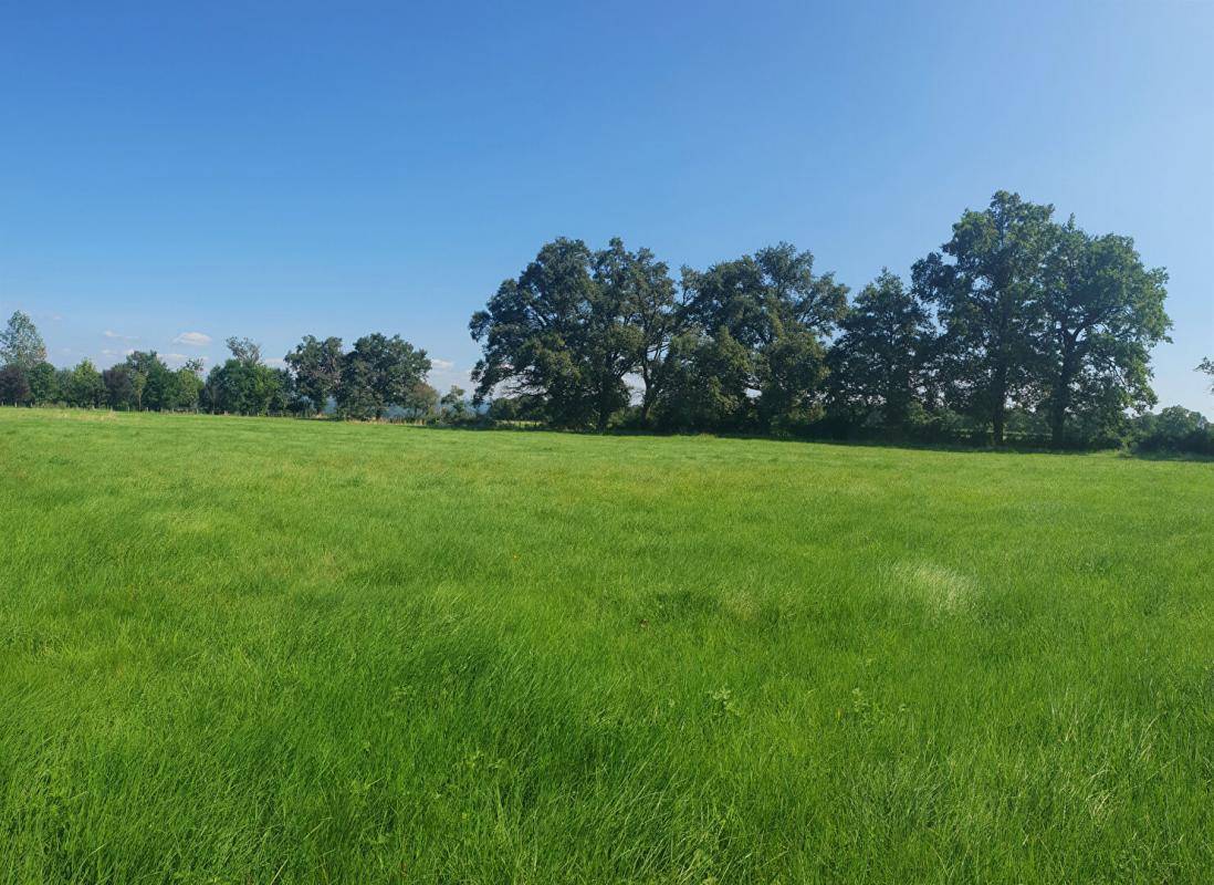 Terrain seul à Balbigny en Loire (42) de 4000 m² à vendre au prix de 96000€ - 2