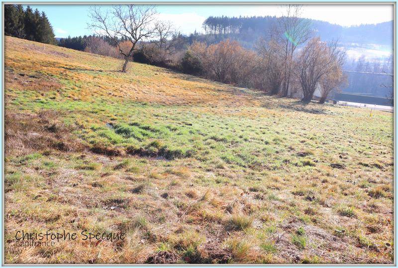 Terrain seul à Chabreloche en Puy-de-Dôme (63) de 2355 m² à vendre au prix de 24500€ - 4