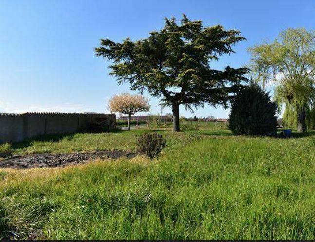 Terrain seul à Vézelin-sur-Loire en Loire (42) de 1120 m² à vendre au prix de 80000€ - 1