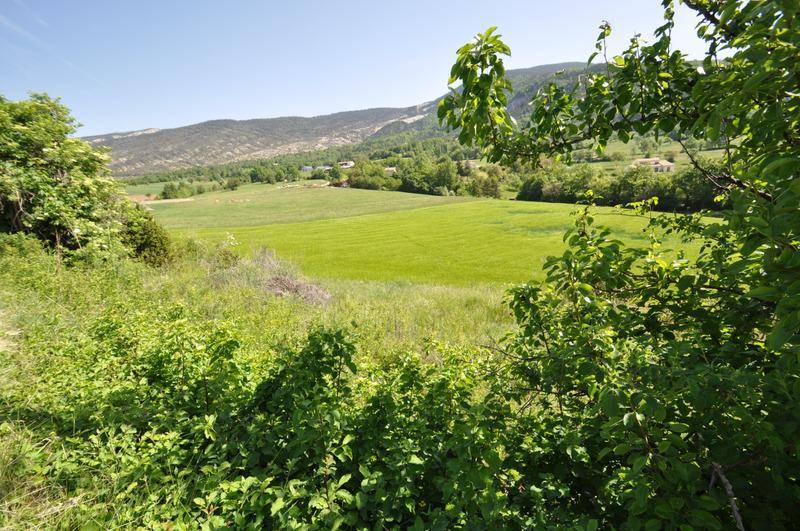 Terrain seul à Méailles en Alpes-de-Haute-Provence (04) de 591 m² à vendre au prix de 40000€ - 4