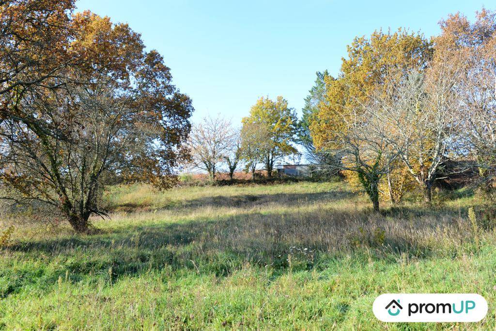 Terrain seul à Mouleydier en Dordogne (24) de 2240 m² à vendre au prix de 45000€ - 4