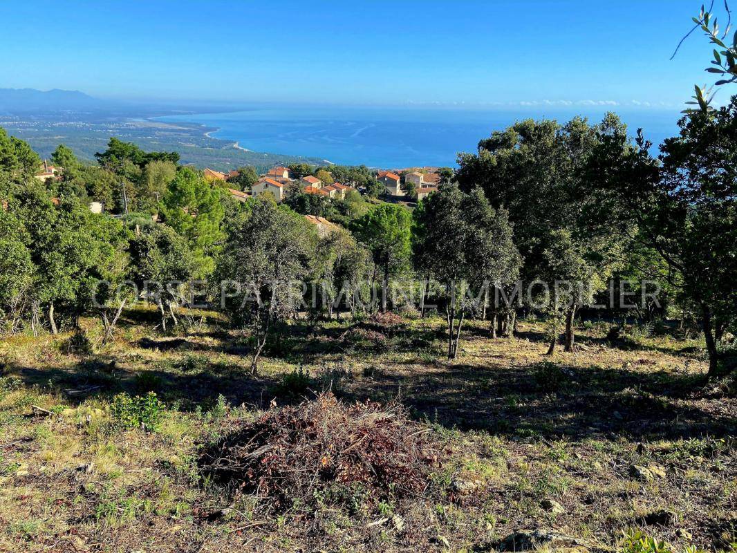 Terrain seul à Sari-Solenzara en Corse-du-Sud (2A) de 1100 m² à vendre au prix de 153300€ - 2
