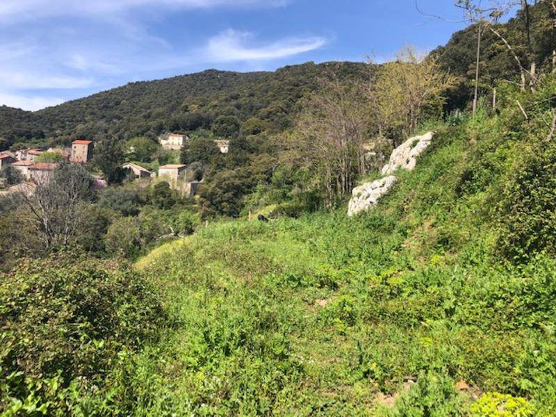 Terrain seul à Albitreccia en Corse-du-Sud (2A) de 1066 m² à vendre au prix de 75000€ - 4