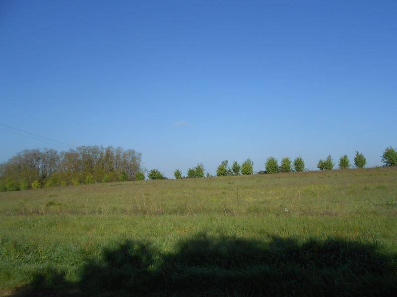 Terrain seul à La Selle-sur-le-Bied en Loiret (45) de 1816 m² à vendre au prix de 33000€ - 4
