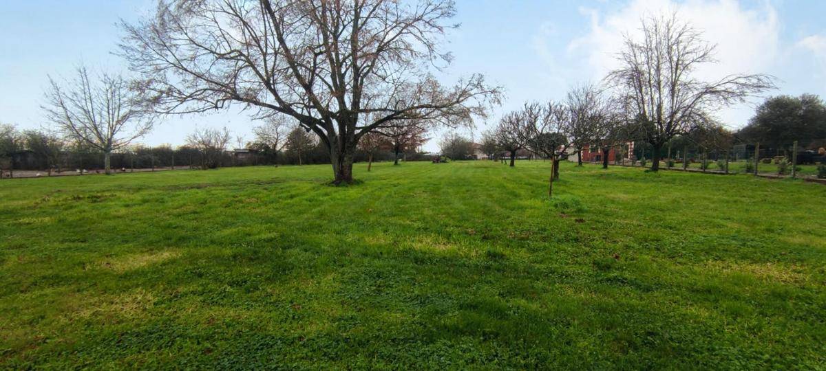 Terrain seul à Porchères en Gironde (33) de 3846 m² à vendre au prix de 75590€ - 1