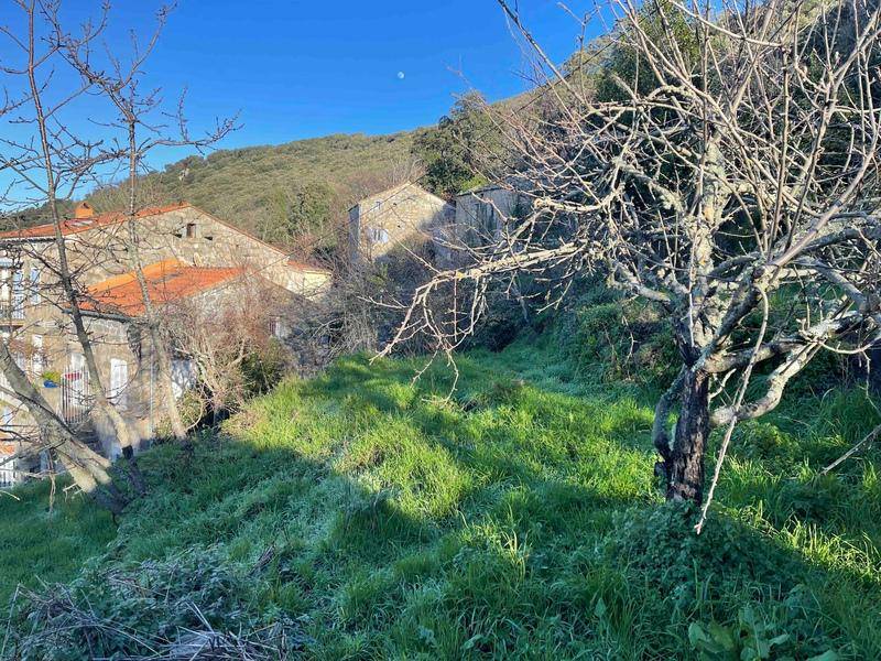 Terrain seul à Sollacaro en Corse-du-Sud (2A) de 789 m² à vendre au prix de 89500€ - 2