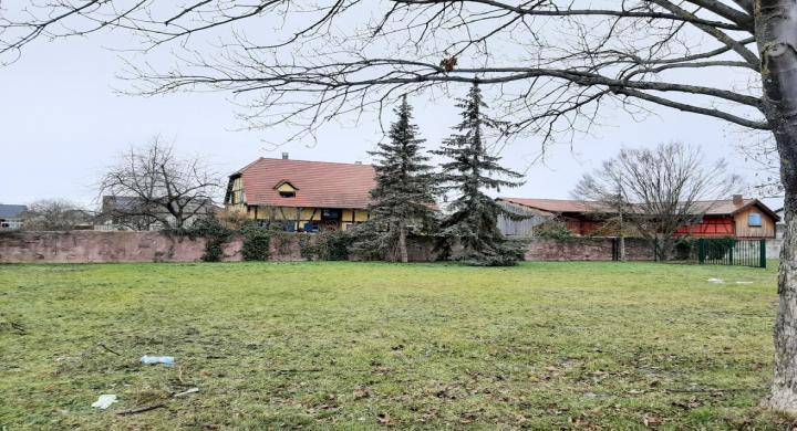 Programme terrain + maison à Blodelsheim en Haut-Rhin (68) de 537 m² à vendre au prix de 334700€ - 3