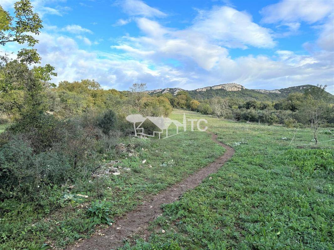 Terrain seul à Fons-sur-Lussan en Gard (30) de 8617 m² à vendre au prix de 197000€ - 1